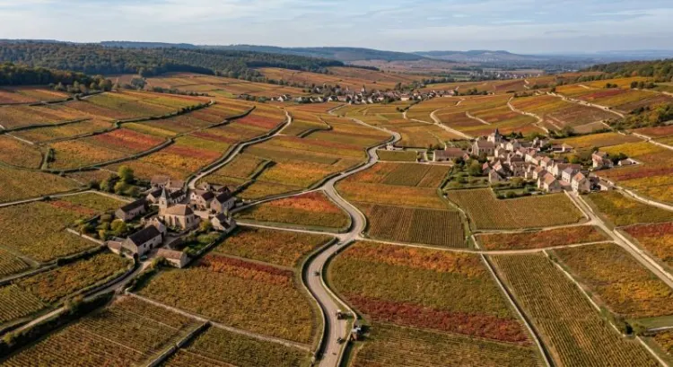 Vignobles de Bourgogne : itinéraire œnologique de Beaune à Dijon